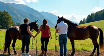Soziale Aspekte des Reitsports und Gemeinschaft (6/10)