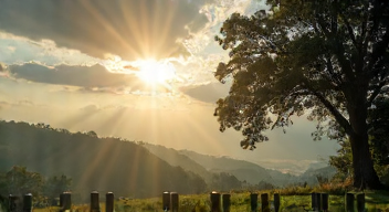 Der Einfluss von Wetter auf die Musik (10/10)