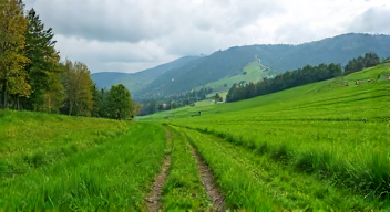 Die Rolle von Niederschlag im März 2026 (4/10)