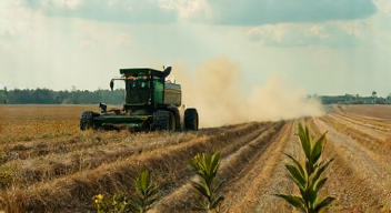 Einblick in die Düngemittelkrise und ihre Folgen