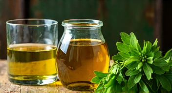 Perspektiven zu Bärlauch haltbar machen