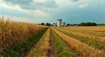 Perspektiven zur Düngemittelkrise und ihren Folgen