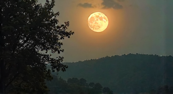 Psychologische Reaktionen auf den Krähenmond (7/10)